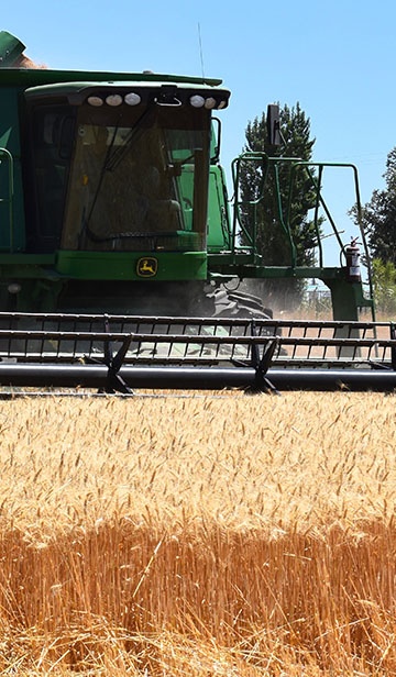 �r�I�Cе�I��